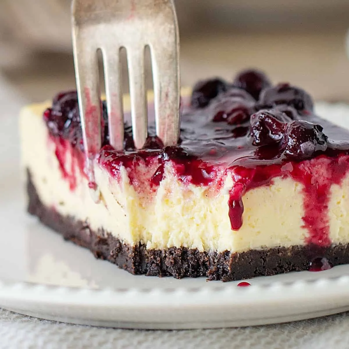 Baked Chocolate Crust Cheesecake