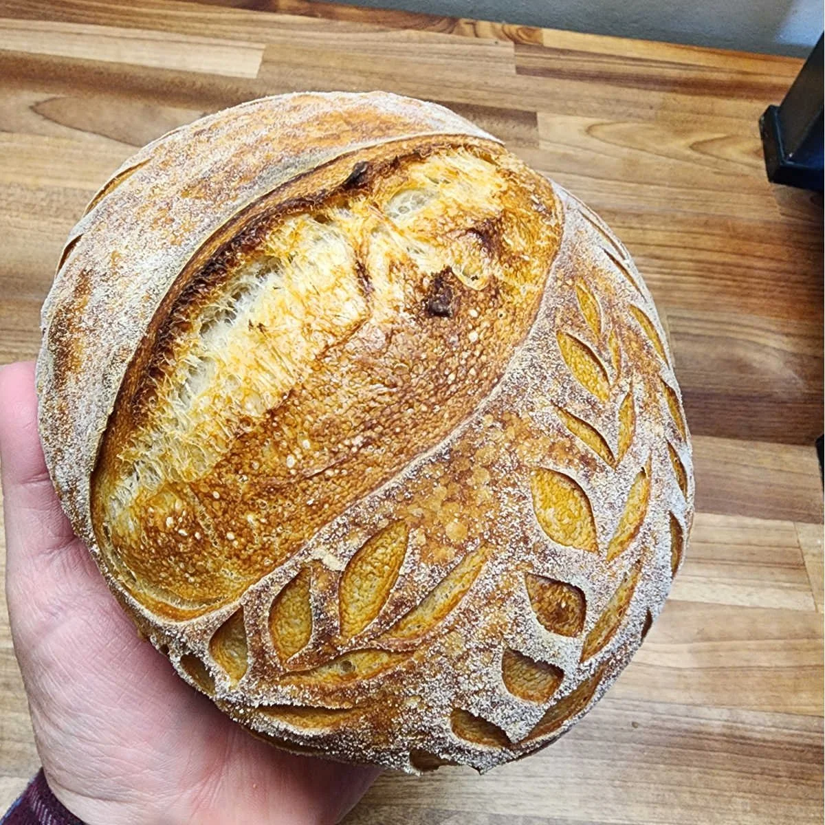Beginner’s Guide to Sourdough Bread