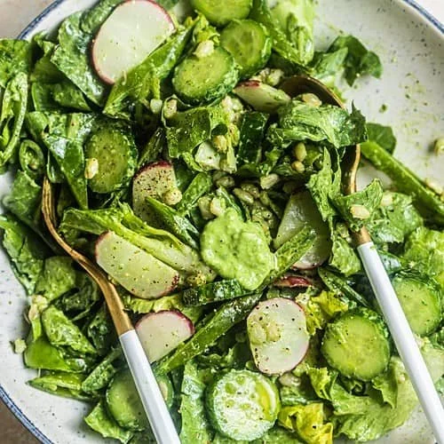 Buttery lettuce garden salad with fresh vegetables and dressing