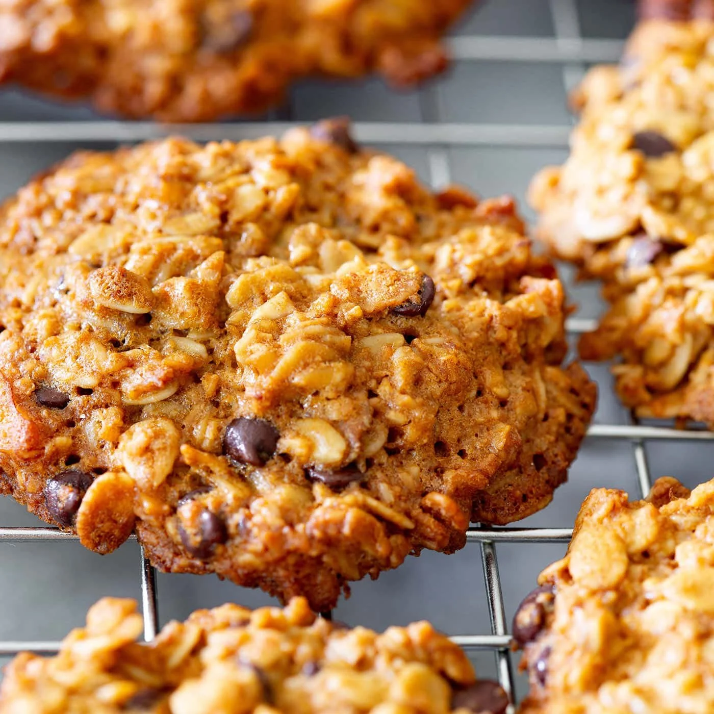 Chewy Oatmeal Cookies
