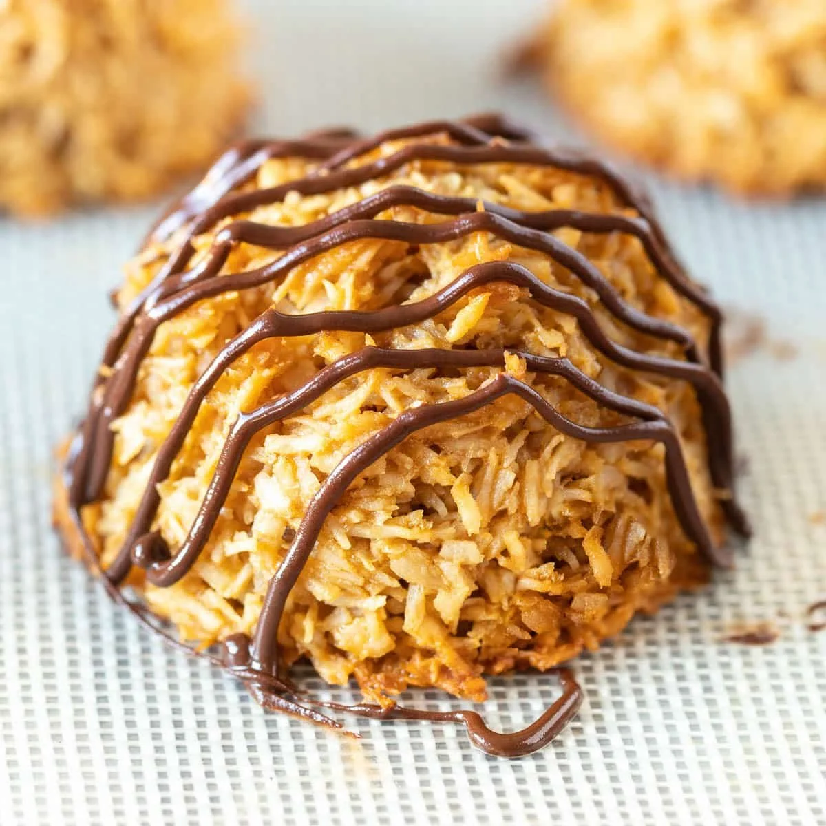 Creamy Coconut Vegan Macaroons