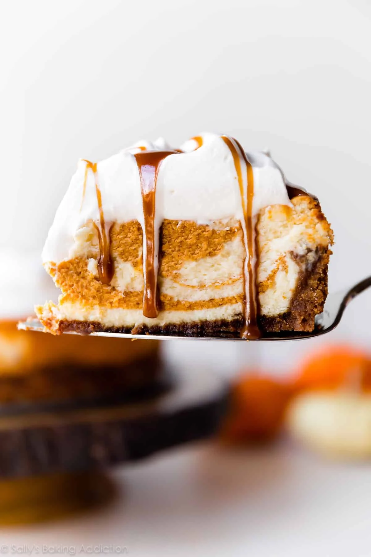 Creamy Pumpkin Swirl Cheesecake