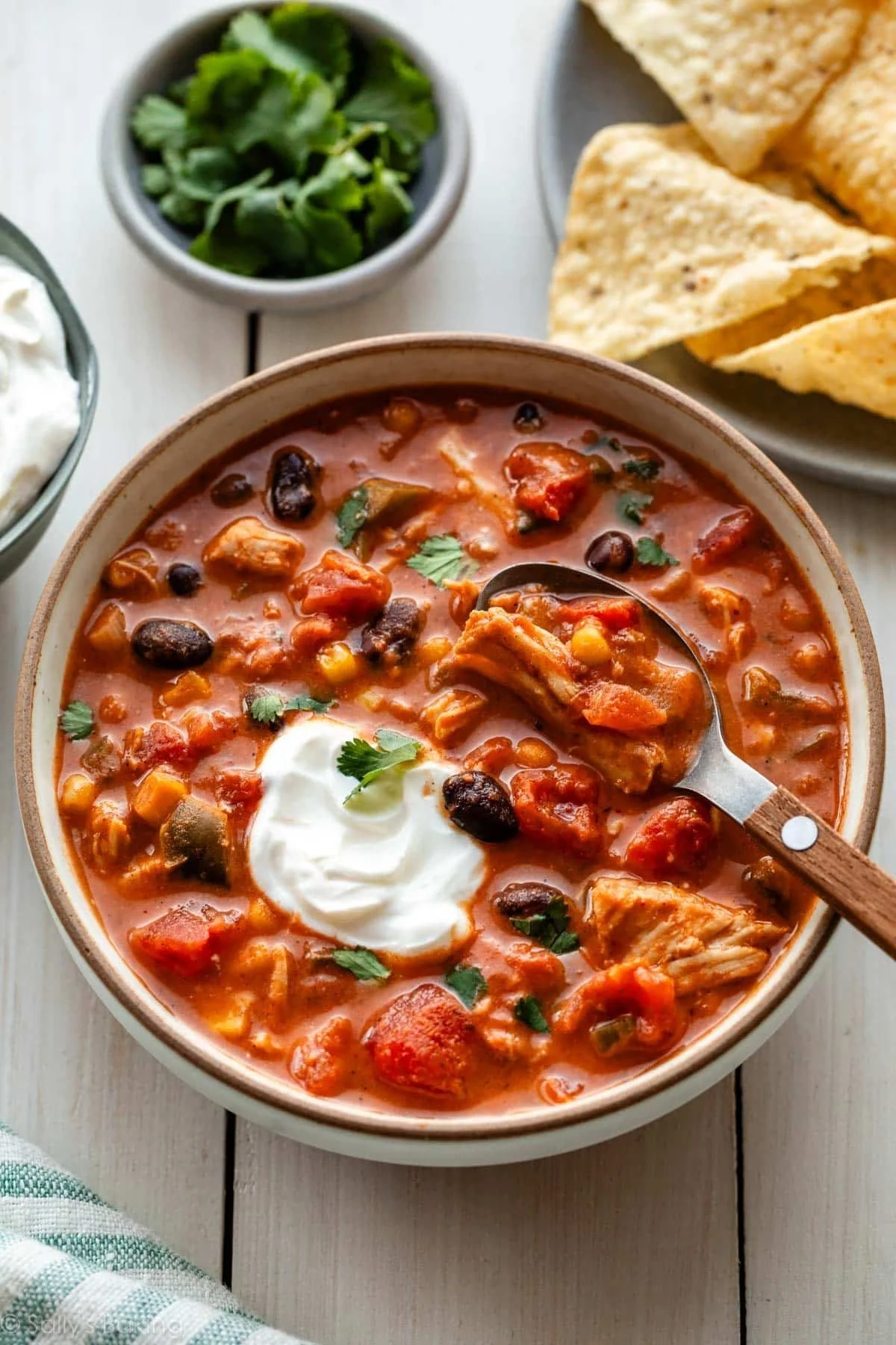Favorite Slow Cooker Chicken Chili