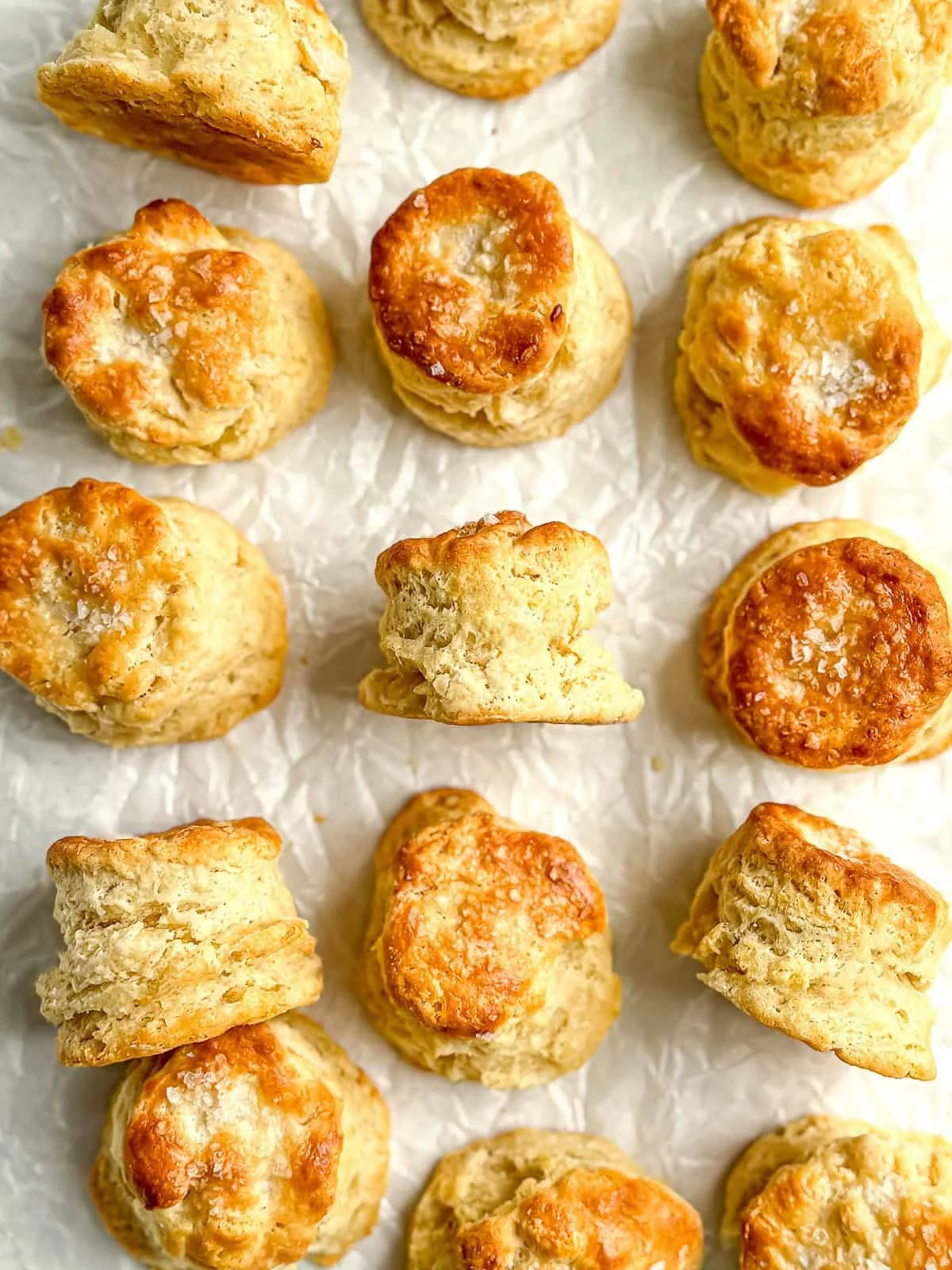 Flaky Sour Cream Biscuits