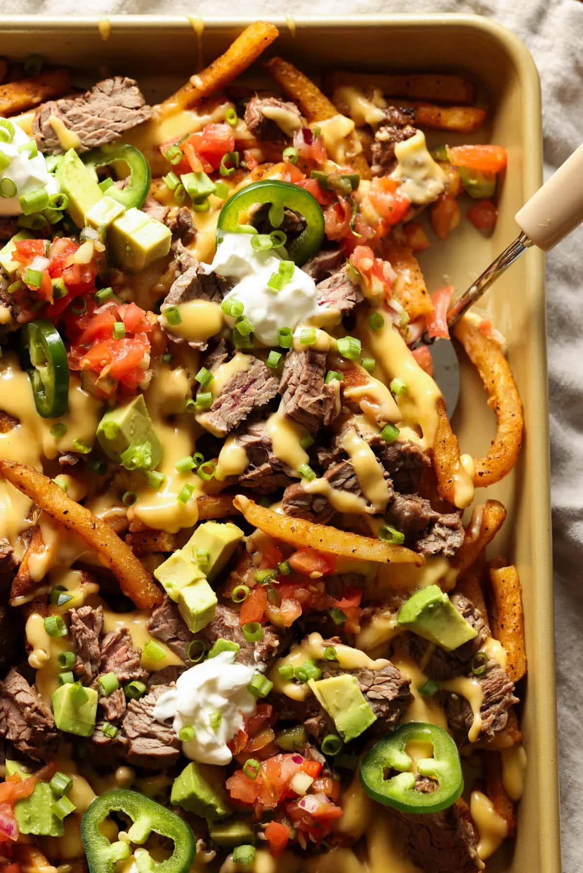 Grilled Beef Fries