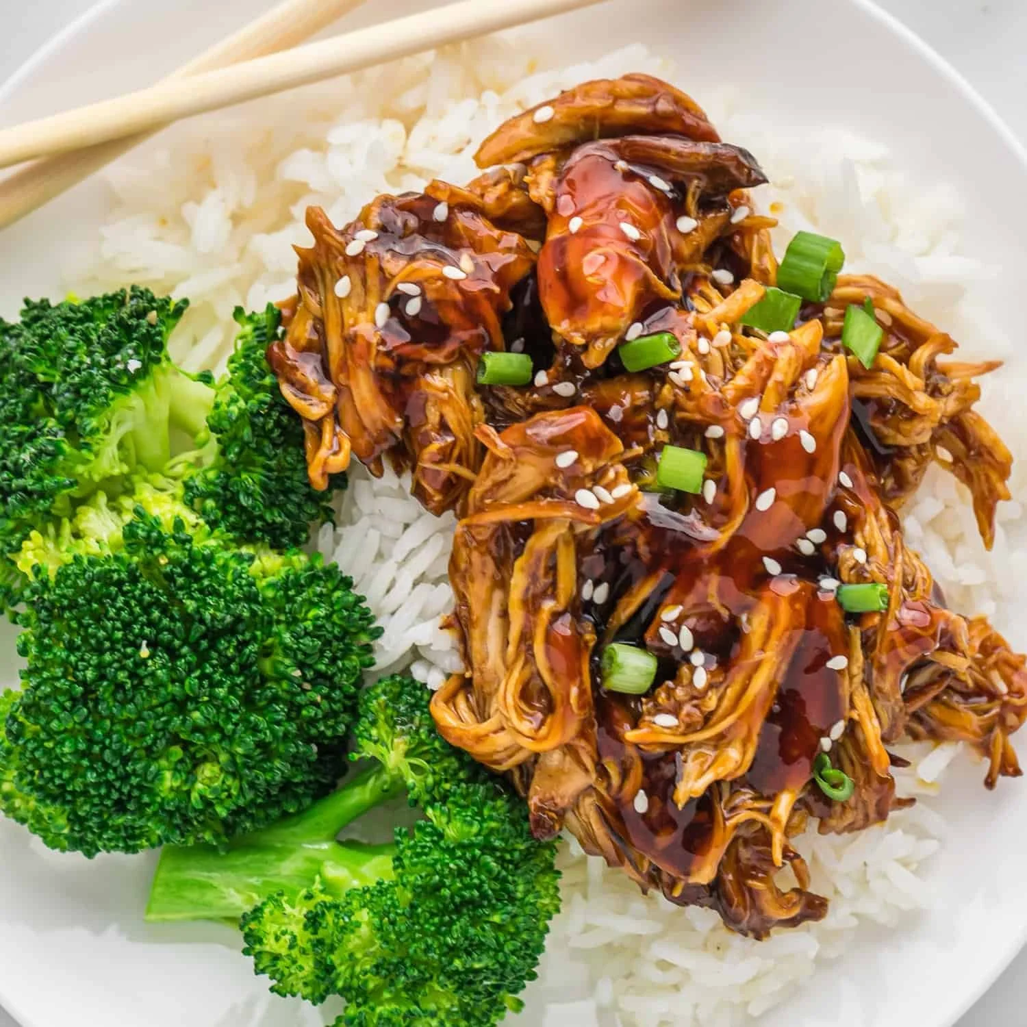 Slow Cooker Teriyaki Chicken