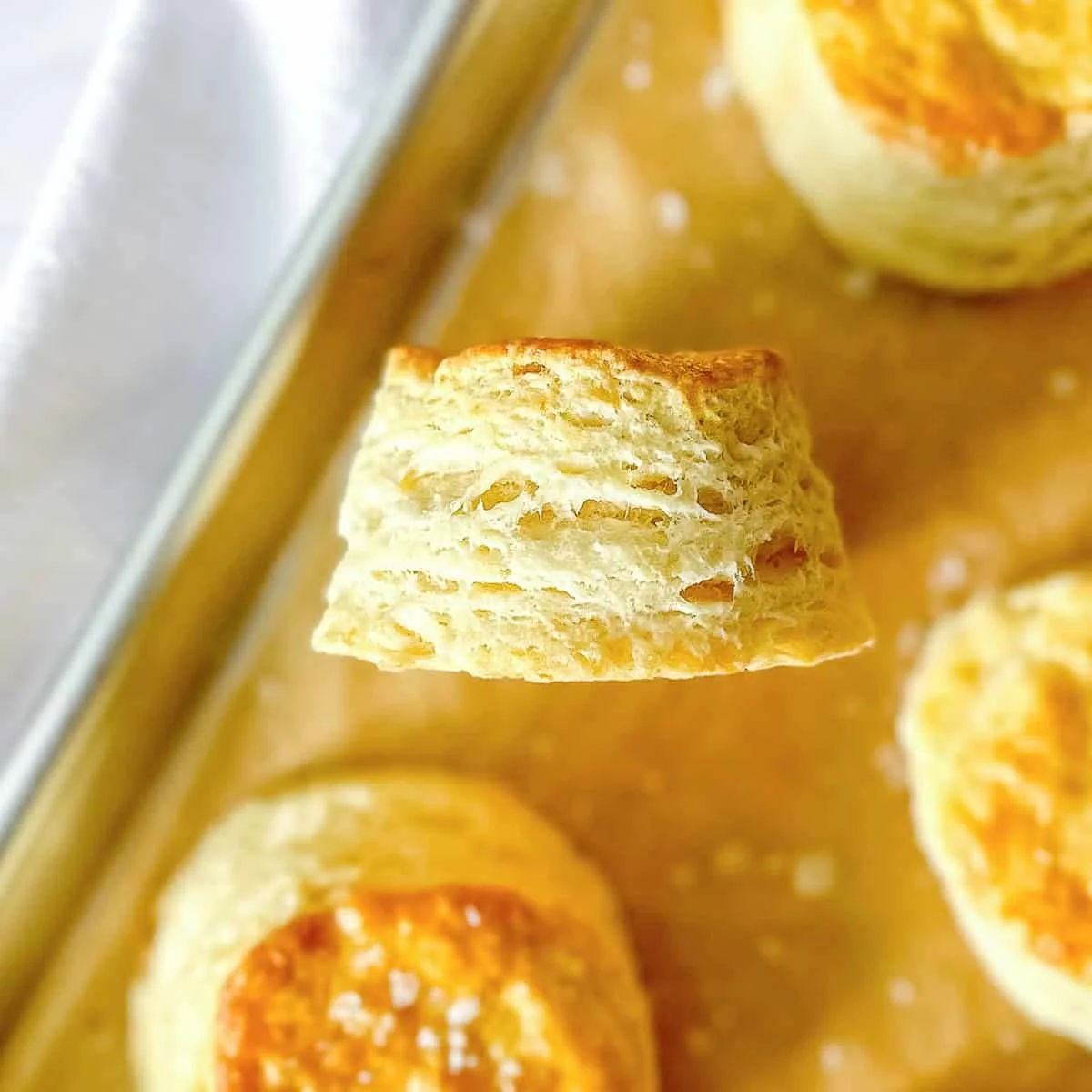Ultimate Flaky Buttermilk Biscuits